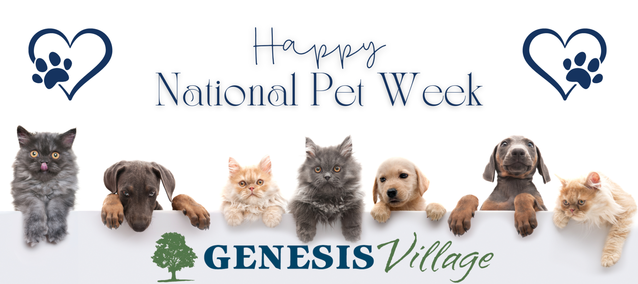 Happy National Pet Week!