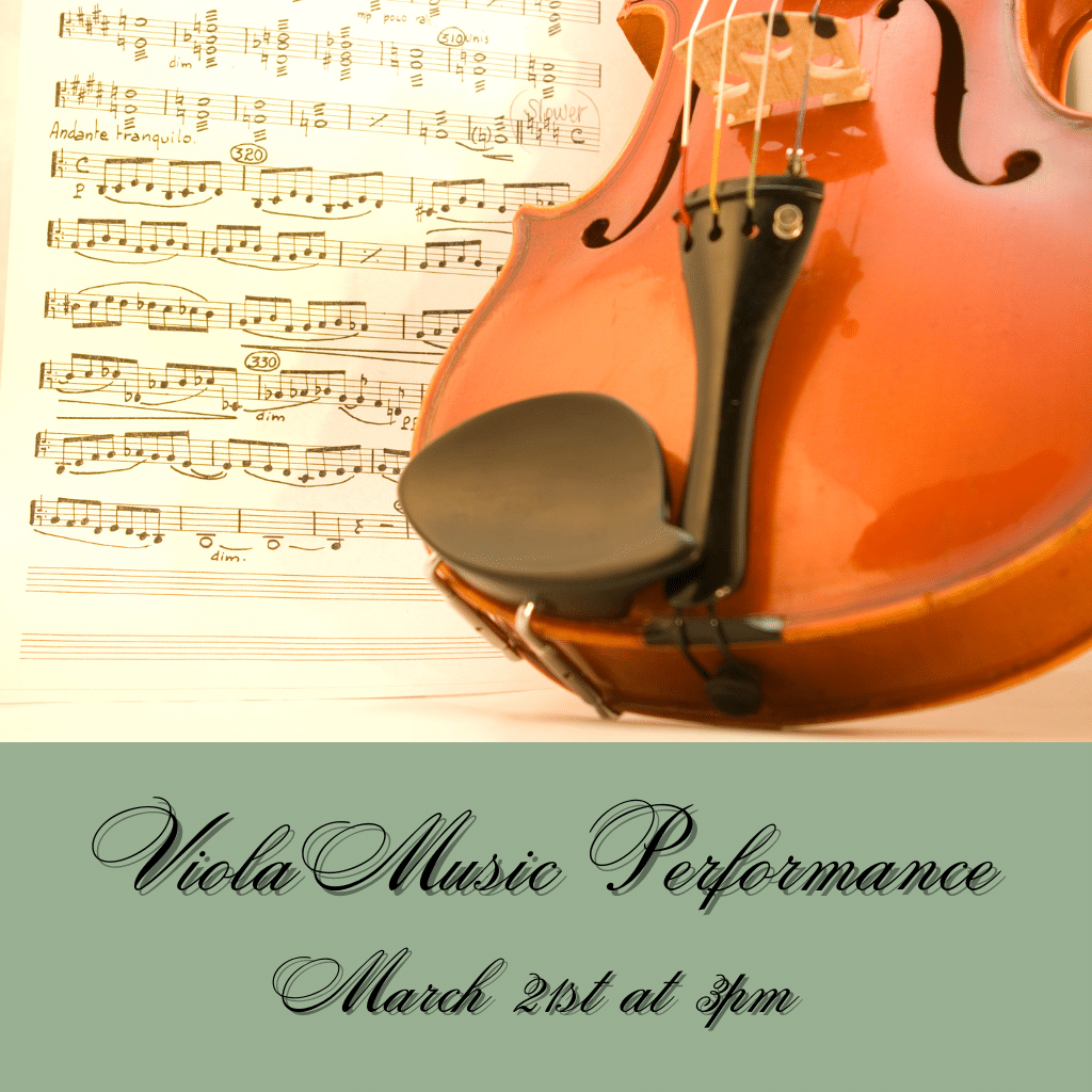 Viola Live Performance