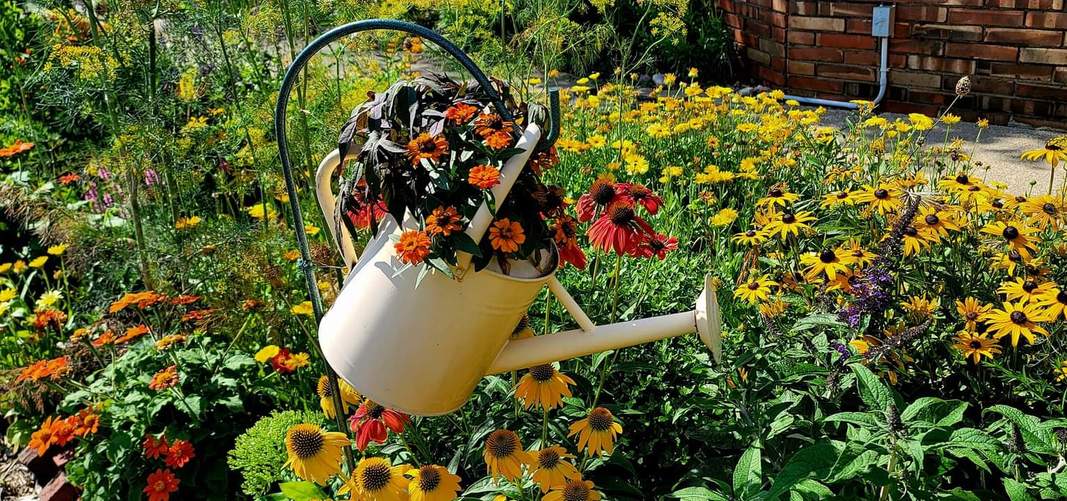 Gardening for seniors